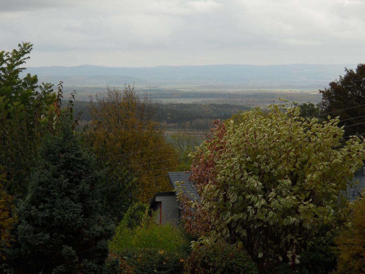 Hotel Garni Schloss Schoenberg Bad Brambach Esterno foto